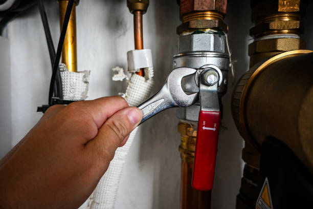 Best Residential Plumbing Services  in Wyoming, IL